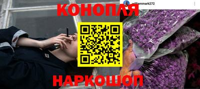 гидра Апрелевка
