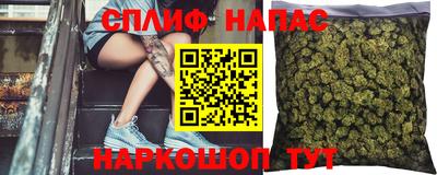 гидра Апрелевка