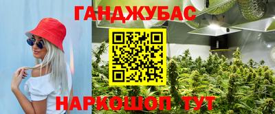 хмурый Аргун