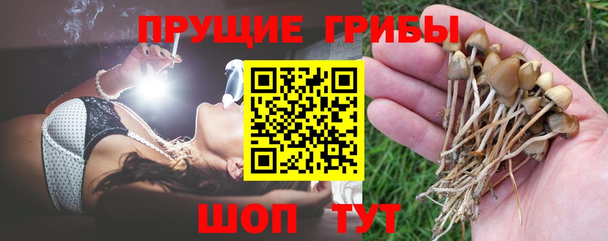 Псилоцибиновые грибы мицелий Ахтубинск
