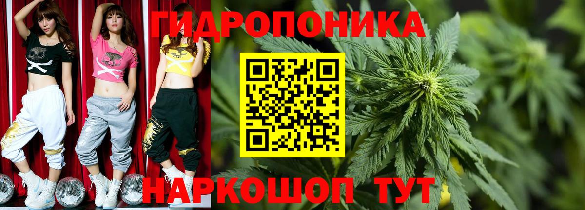 Бошки марихуана Ganja  Бошки Шишки VHQ  Вход с VPN  Ахтубинск  Канабис план 